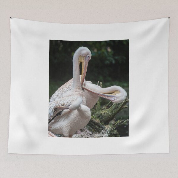 Item preview, preening pelicans designed and sold by Martin Langer.