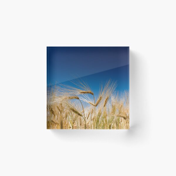 Item preview, For Dick Latvala designed and sold by DiFigianoPhoto.