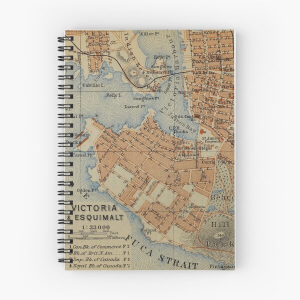 Item preview, Vintage Victoria British Columbia originally produced in (1907) designed and sold by BravuraMedia.