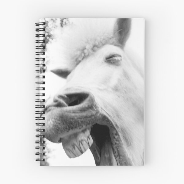 Item preview, Mr. Ed designed and sold by Martin Langer.
