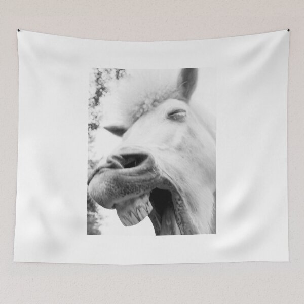 Item preview, Mr. Ed designed and sold by Martin Langer.