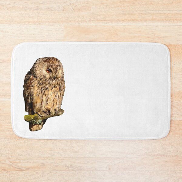 Item preview, Long-eared owl designed and sold by Dalyndigital Photography.