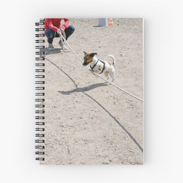 Item preview, Brave designed and sold by Martin Langer.