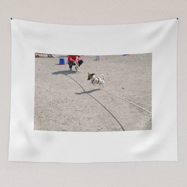 Item preview, Brave designed and sold by Martin Langer.
