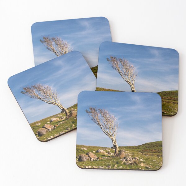 Item preview, The Lone Tree designed and sold by IslayFineArt.
