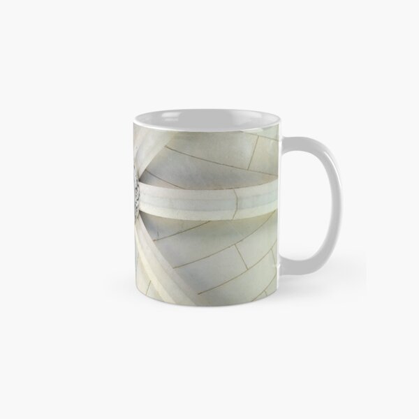 Rock Arch Owl - Bryn Mawr College Classic Mug