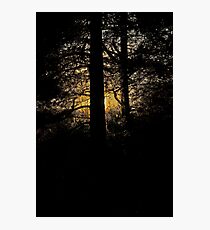7 star ******* Lappland sunset - Sweden. Brown Sugar Story. Photographic Print