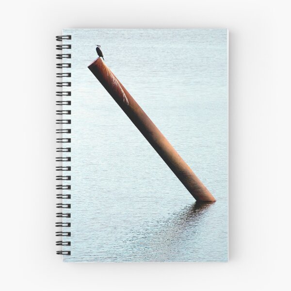 Item preview, Angular designed and sold by Martin Langer.