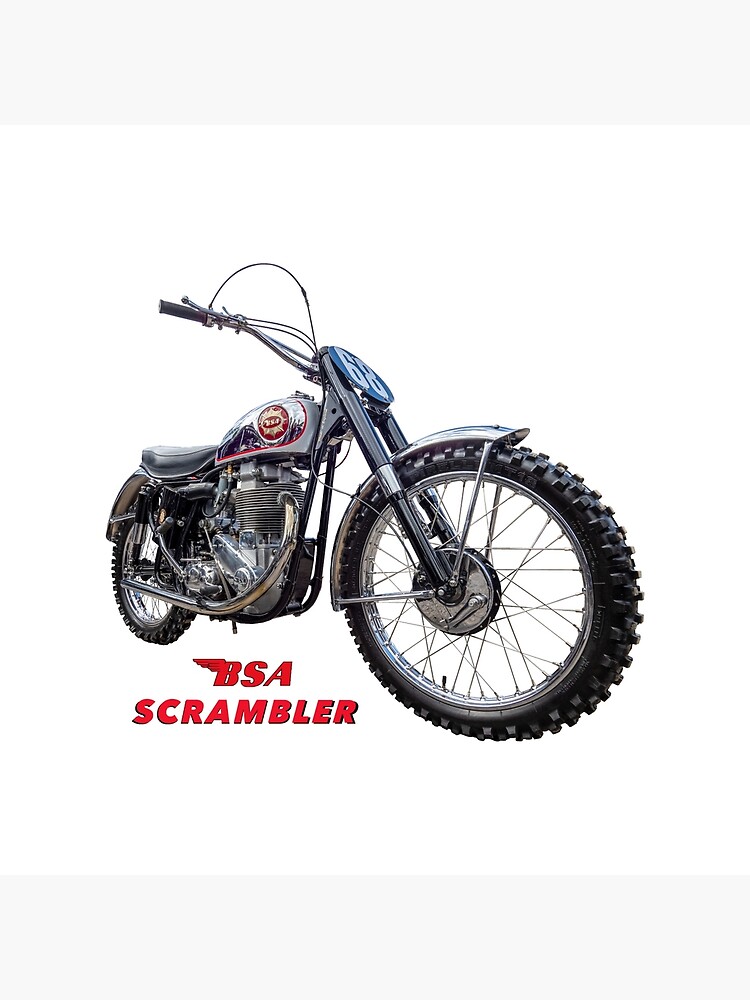 bsa goldstar scrambler