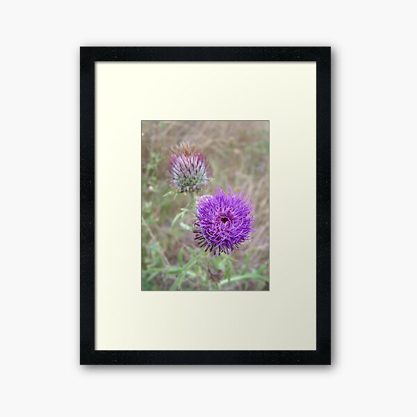 Purple Wild Flower Framed Art Print