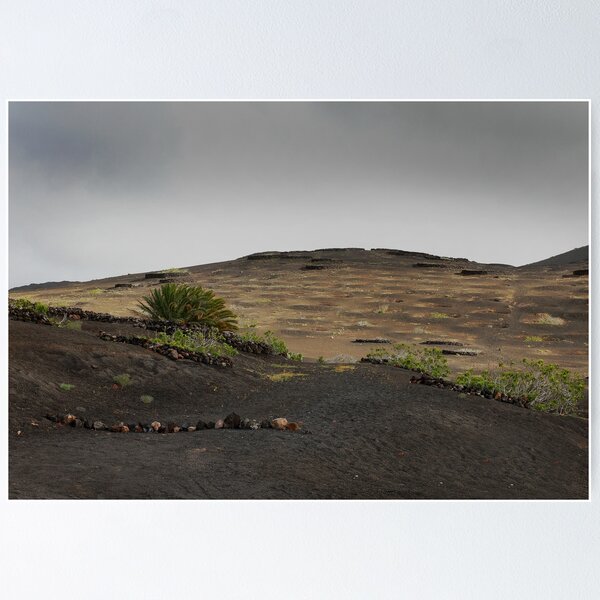 Aperçu de l'œuvre Vignoble volcanique créée et vendue par miradorpictures.