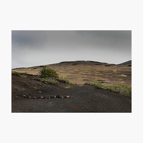Item preview, Volcanic vineyard designed and sold by miradorpictures.