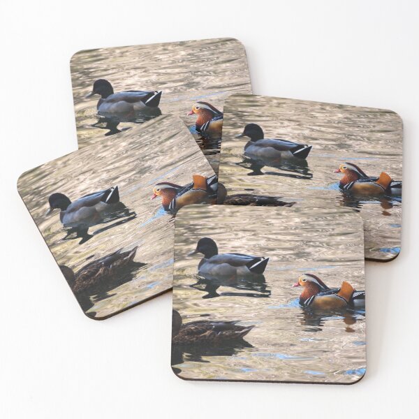 Artikelvorschau, Mandarine und Stockenten entworfen und verkauft von Douglas E. Welch Design and Photography.