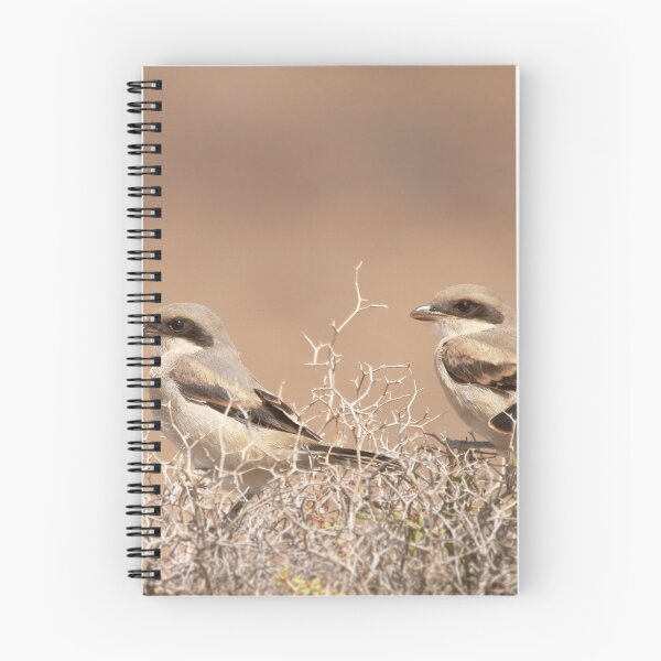 Item preview, Red backed shrike designed and sold by miradorpictures.