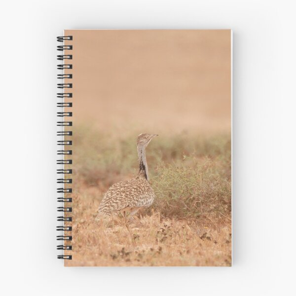 Item preview, Houbara bastard  designed and sold by miradorpictures.