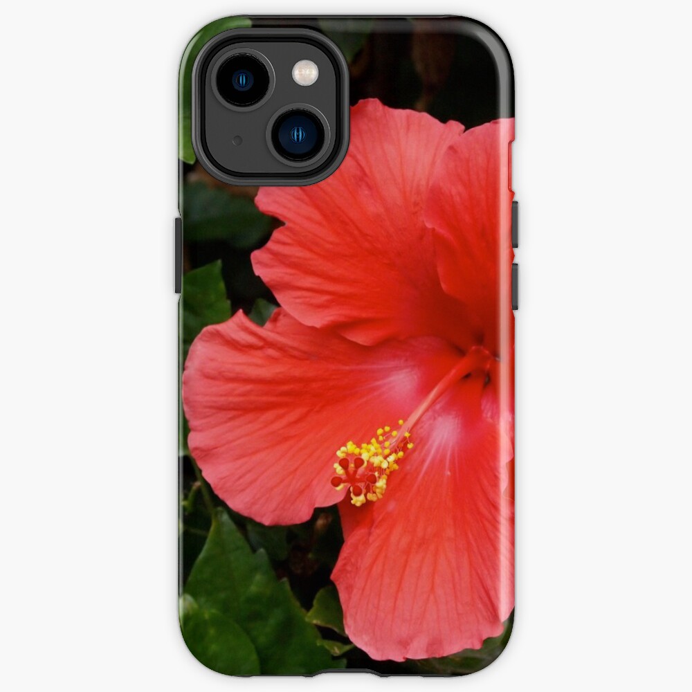 Pink Hibiscus iPhone Case