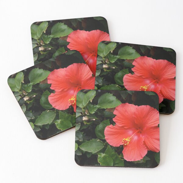 Aperçu de l'œuvre Hibiscus rose créée et vendue par Douglas E. Welch Design and Photography.