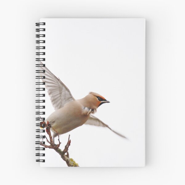 Item preview, Taking flight designed and sold by miradorpictures.