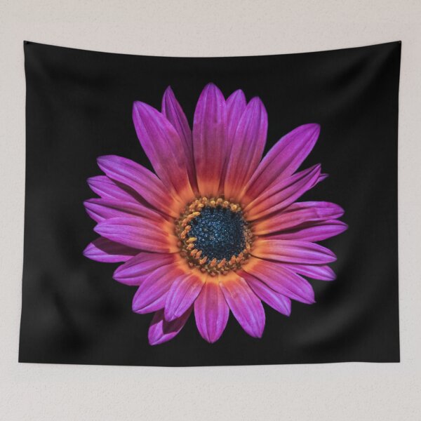 Item preview, Purple Gerbera Daisy on Black designed and sold by heatherfriedman.