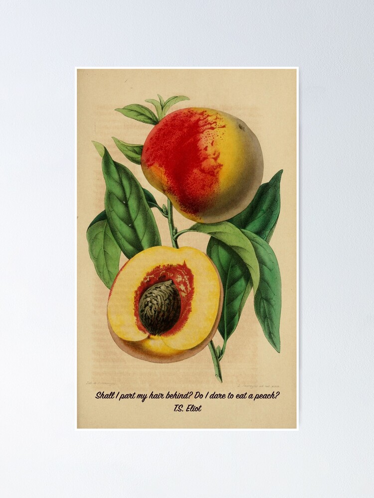 Thumbnail 1 of 3, Poster, "Shall I part my hair behind? Shall I dare to eat a peach?" T.S. Eliot designed and sold by picsoncotton.