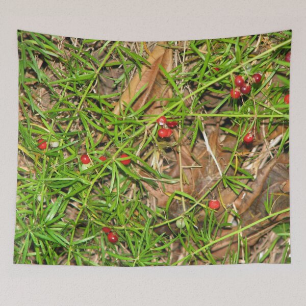 Item preview, Red splash designed and sold by MChabalaRussell.