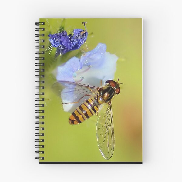 Item preview, Hoverfly  / Episyrphus balteatus designed and sold by relayer51.