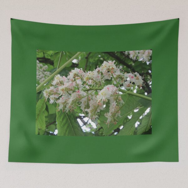 Artikelvorschau, Rosskastanien-Blumenspray (Aesculus hippocastanum) entworfen und verkauft von lezvee.