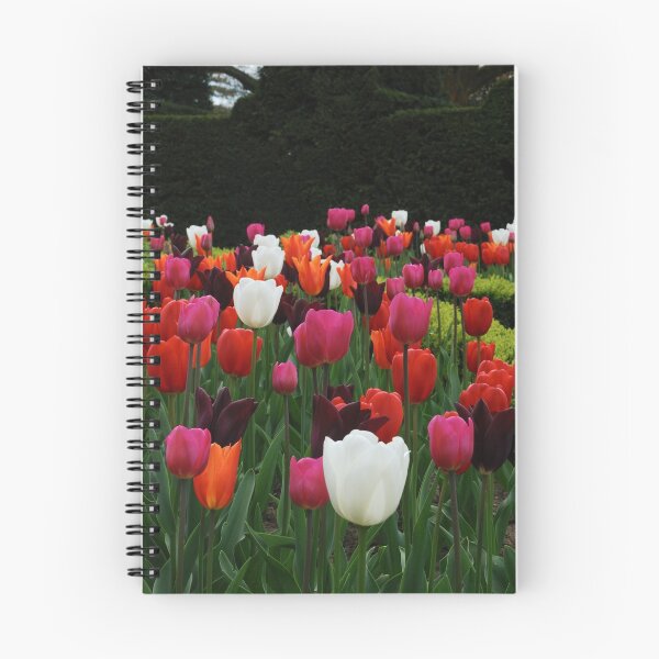 Item preview, Nymans Tulips designed and sold by RichardGibb.