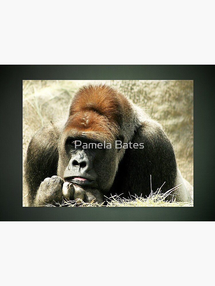 Thumbnail 3 of 3, Photographic Print, One More Day designed and sold by idnurse41.