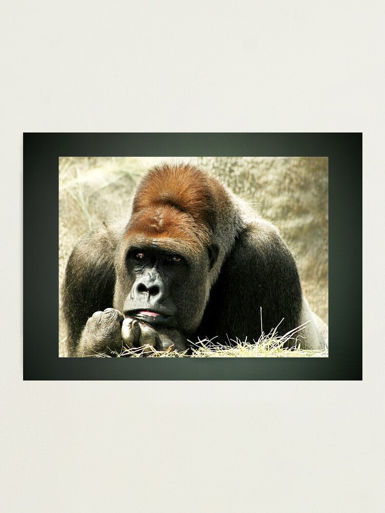 Thumbnail 1 of 3, Photographic Print, One More Day designed and sold by idnurse41.
