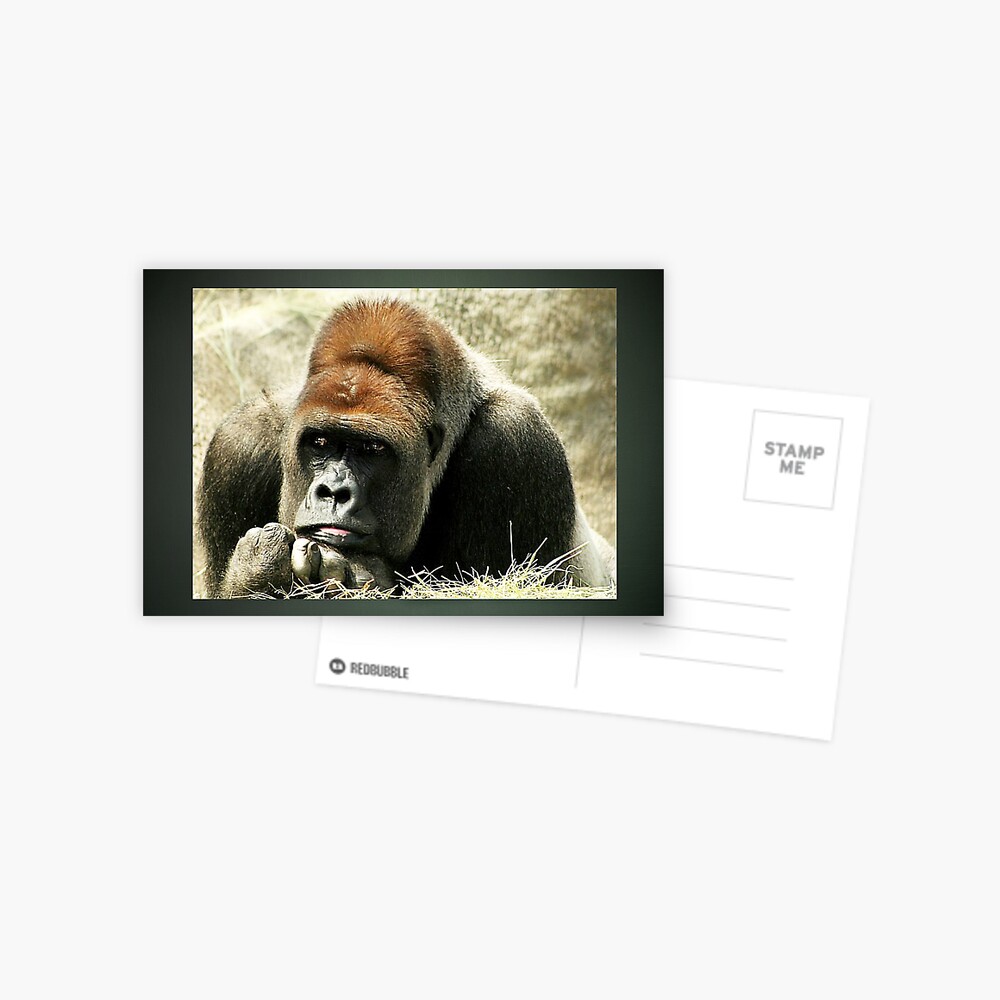 Item preview, Postcard designed and sold by idnurse41.