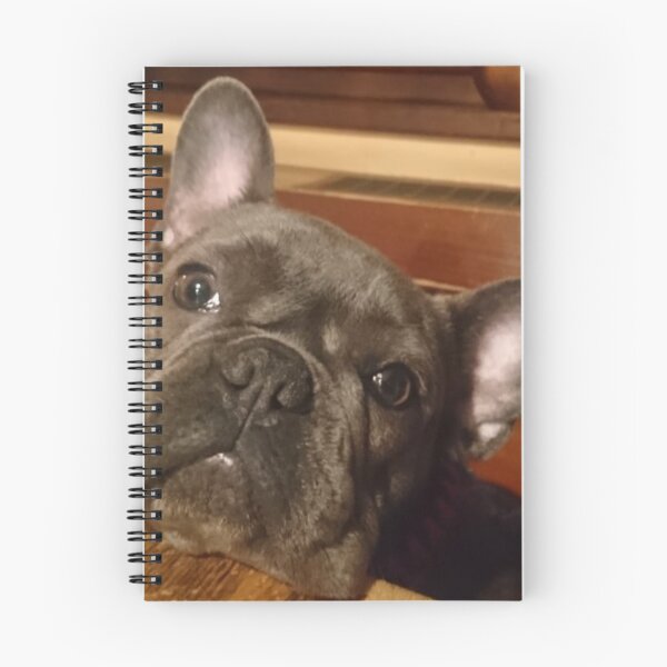 Item preview, frenchie making an eye designed and sold by vibeno1.