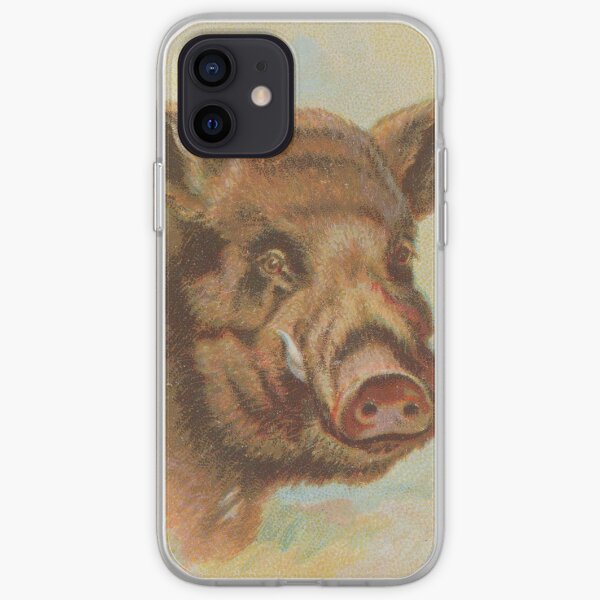 Wild Boar Artwork Gifts Merchandise Redbubble