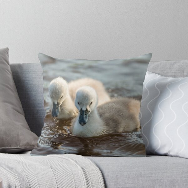 Item preview, Wild Baby Cygnets designed and sold by Alius Imago.