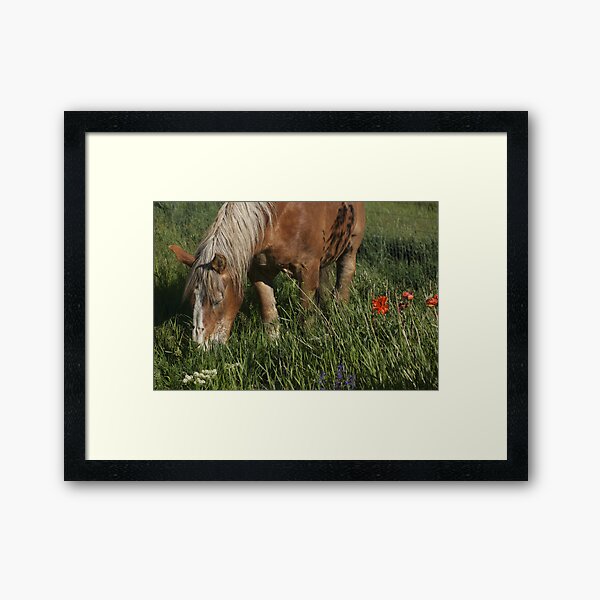 Don't eat the flowers! Framed Art Print
