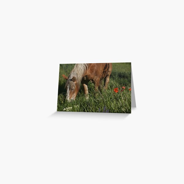 Don't eat the flowers! Greeting Card