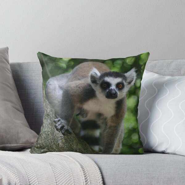 Item preview, Ringtail Lemur Staring designed and sold by Jane McDougall.