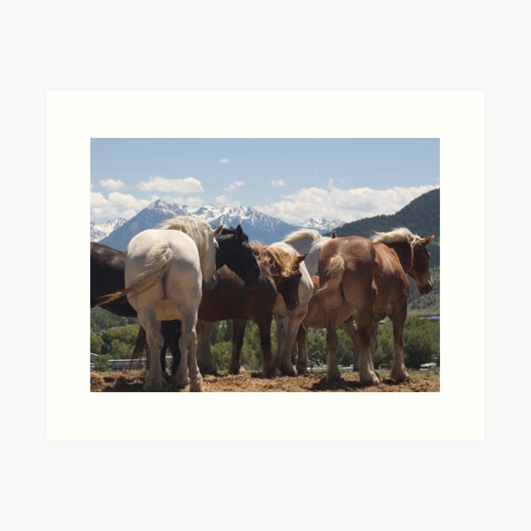 Manes & Tails Art Print