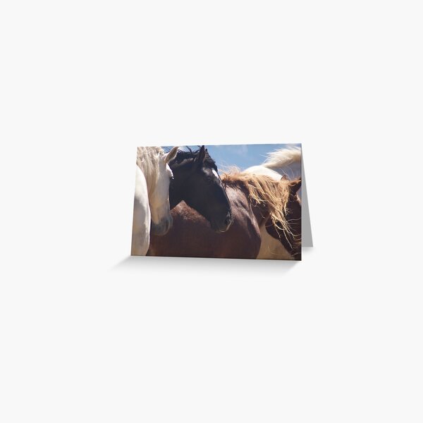Here we are Greeting Card
