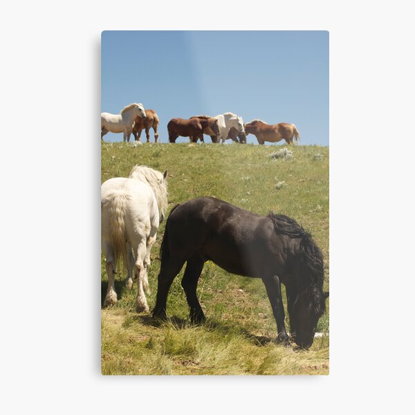 Eight is enough? Metal Print