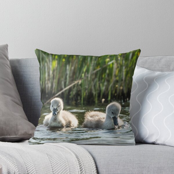Item preview, Wild Baby Cygnets designed and sold by Alius Imago.