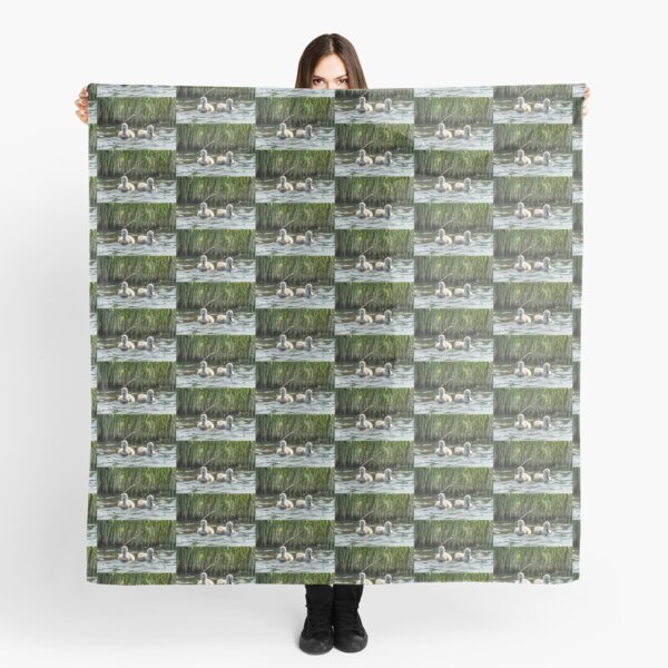 Wild Baby Cygnets Scarf
