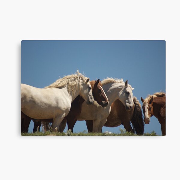 Together we stand Canvas Print