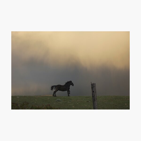 Rain can't catch me Photographic Print