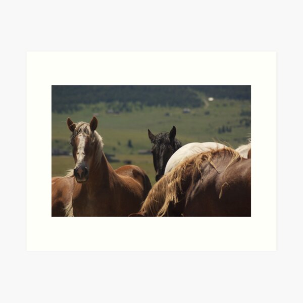 Over here! Art Print