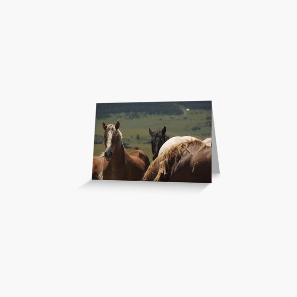 Over here! Greeting Card