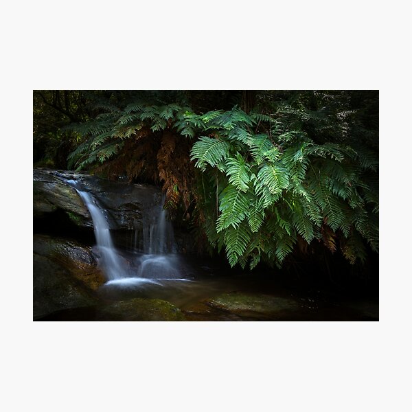 Item preview, Leura Cascades _ Blue Mountains NSW designed and sold by Barbara Burkhardt.