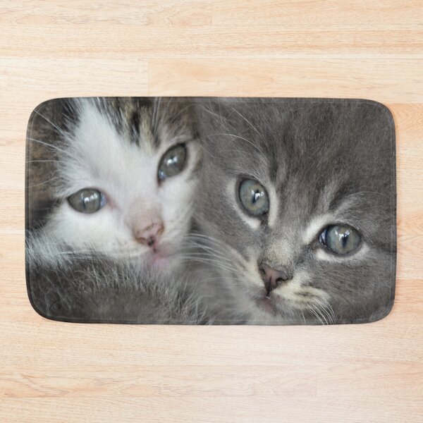 Item preview, Two Cute Kittens designed and sold by DonnaM.