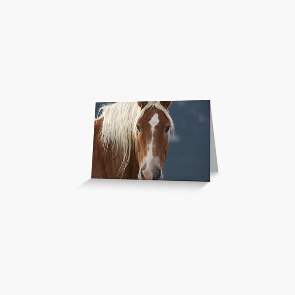 Pumpkin Greeting Card