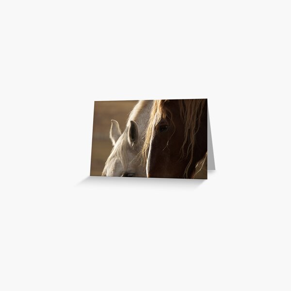 Golden Light Greeting Card